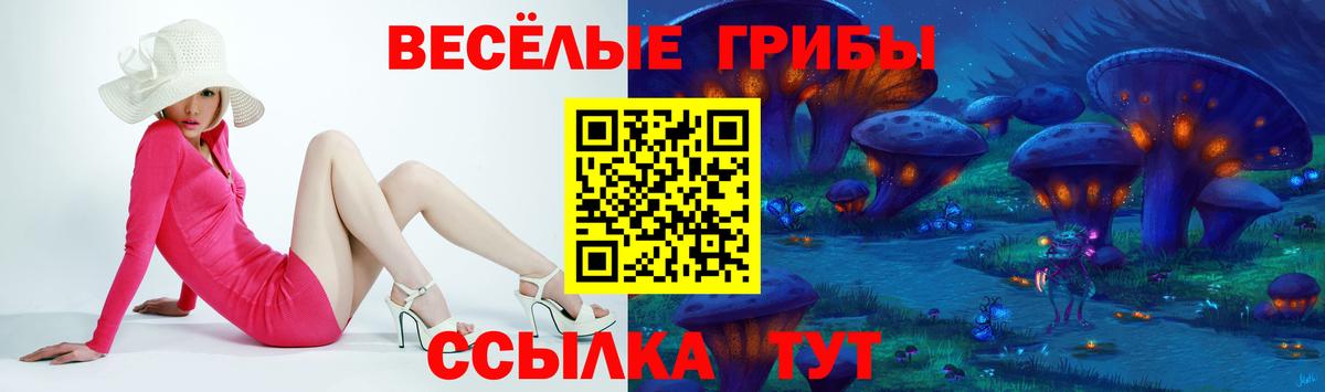 Галлюциногенные грибы прущие грибы  где найти наркотики  Псилоцибиновые грибы Magic Shrooms  Искитим  Вход с VPN 